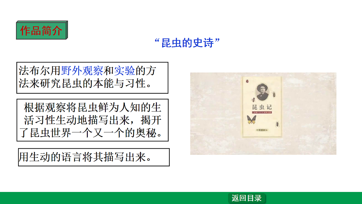 18238639第5页