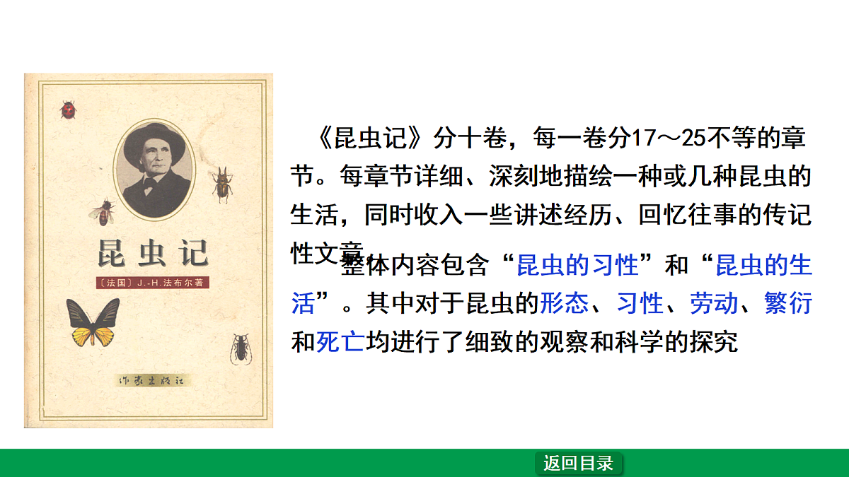 18238639第6页
