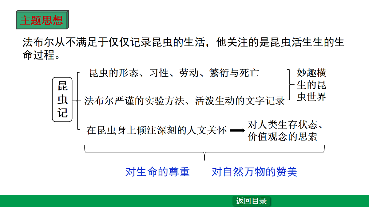 18238639第7页