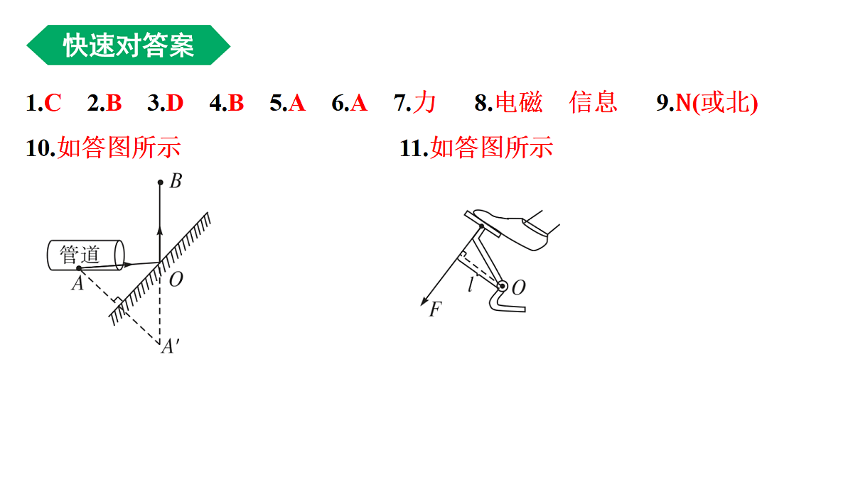 18240955第2页
