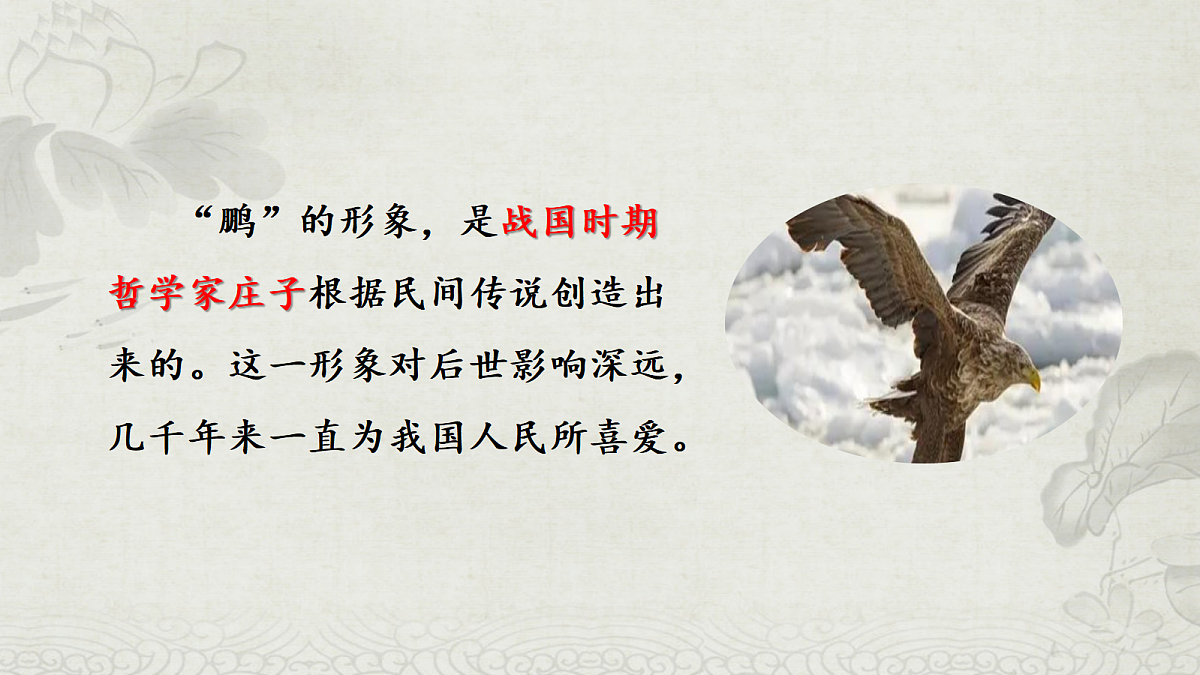 18241101第5页