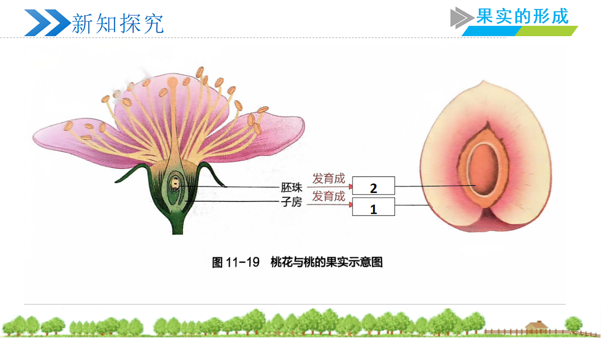 18241741第5页