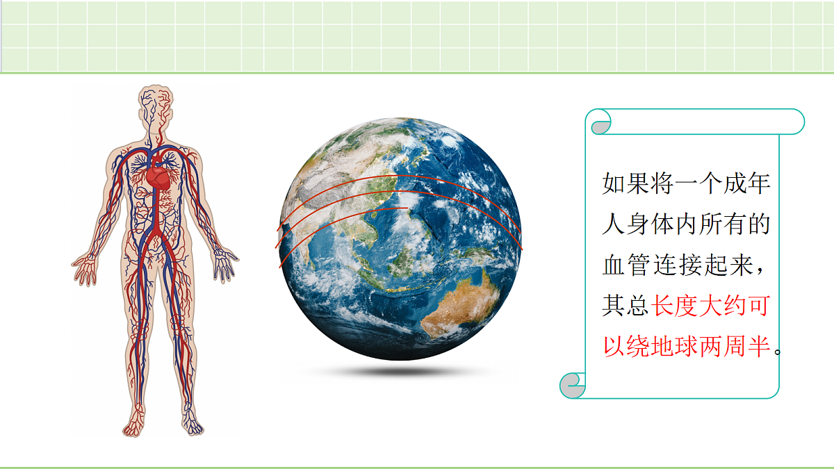 18241748第2页