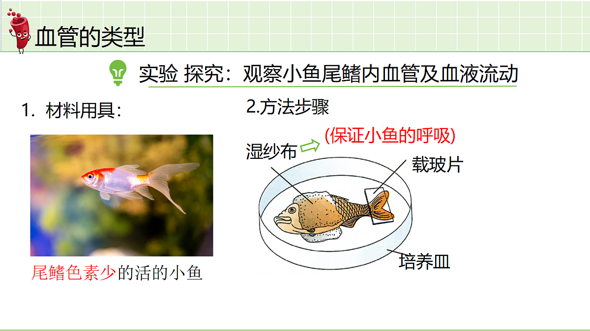 18241748第3页