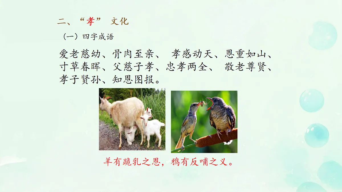 18242016第5页