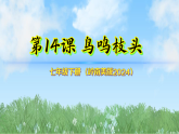 14《鸟鸣枝头》（课件）2025-2026岭南美版（2024）美术七年级下册