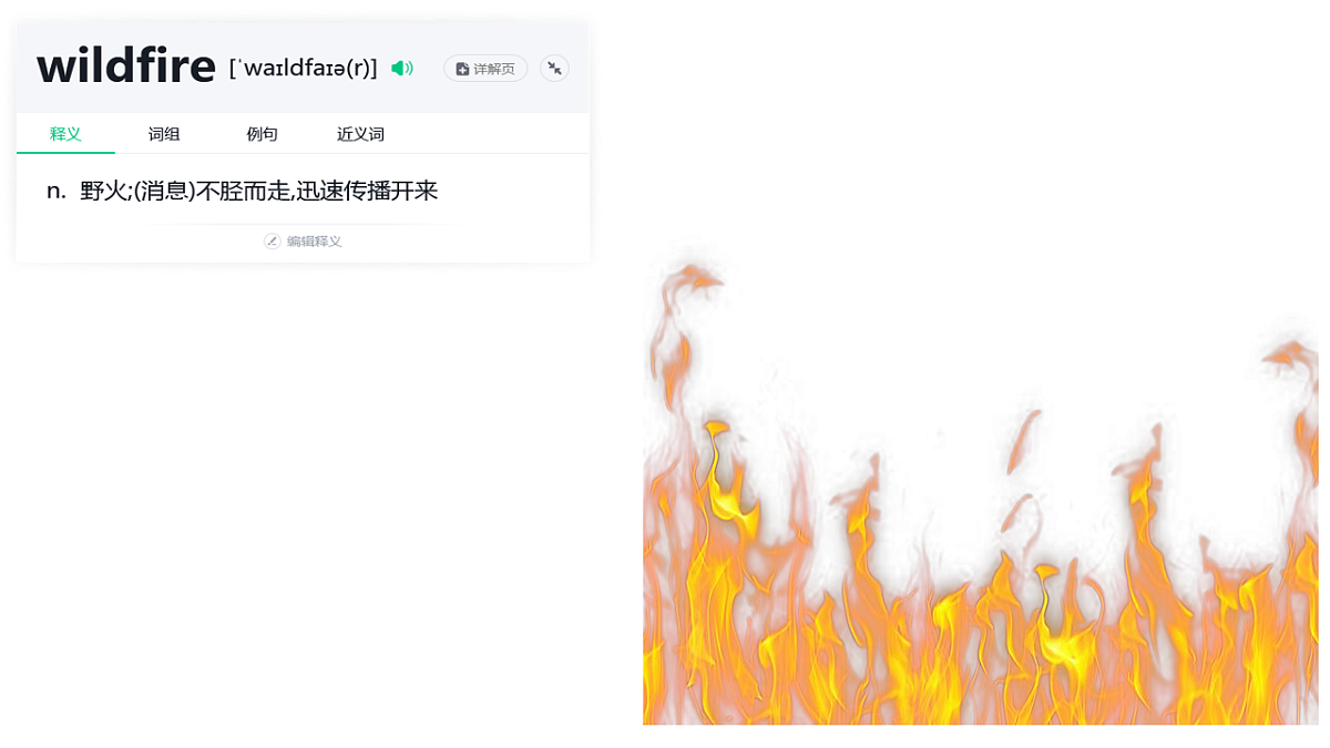 18243125第5页