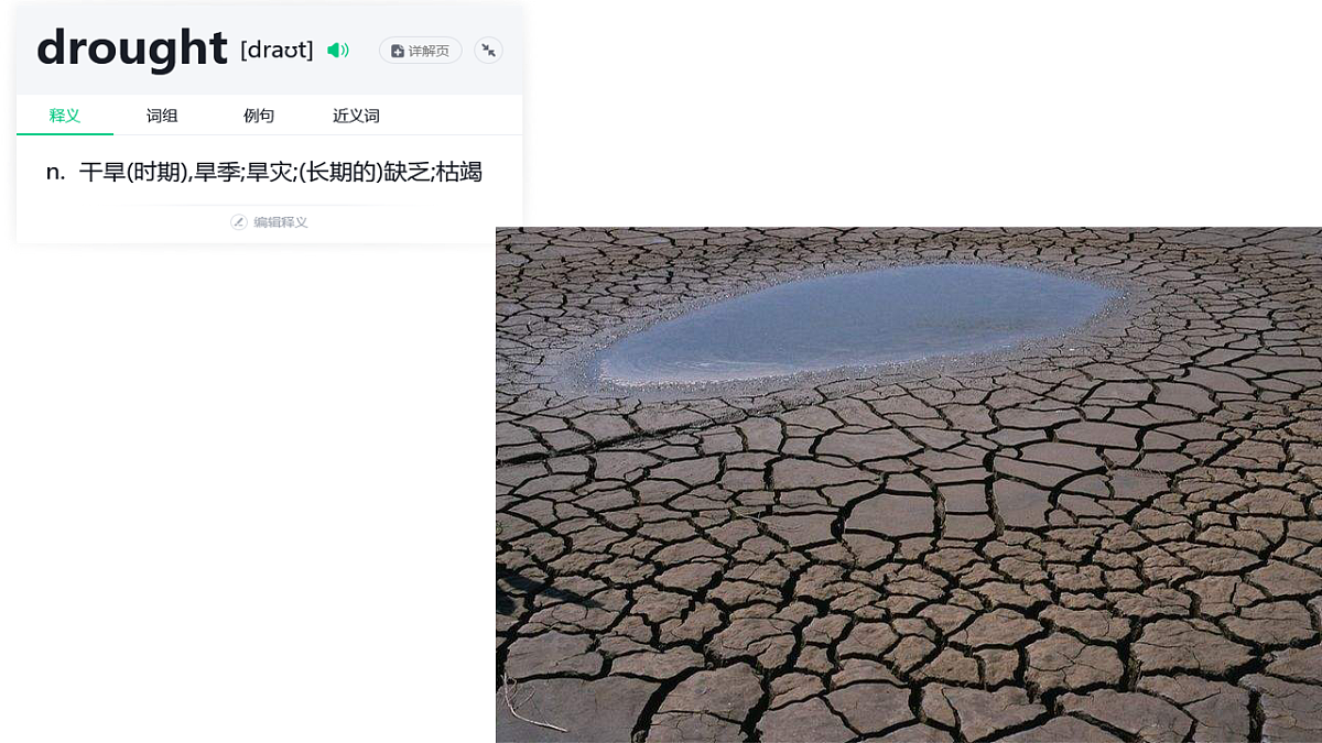 18243125第8页