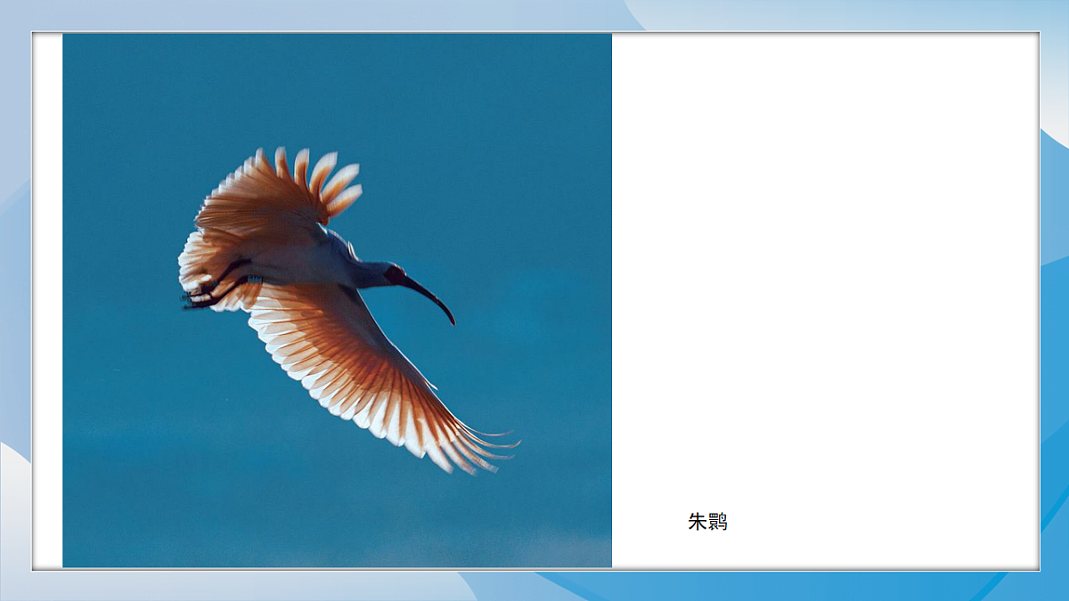 18243128第4页