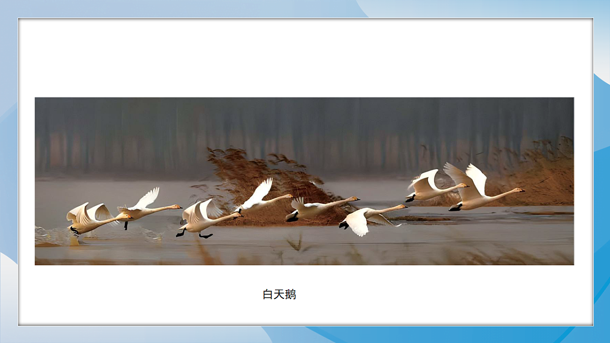 18243128第7页