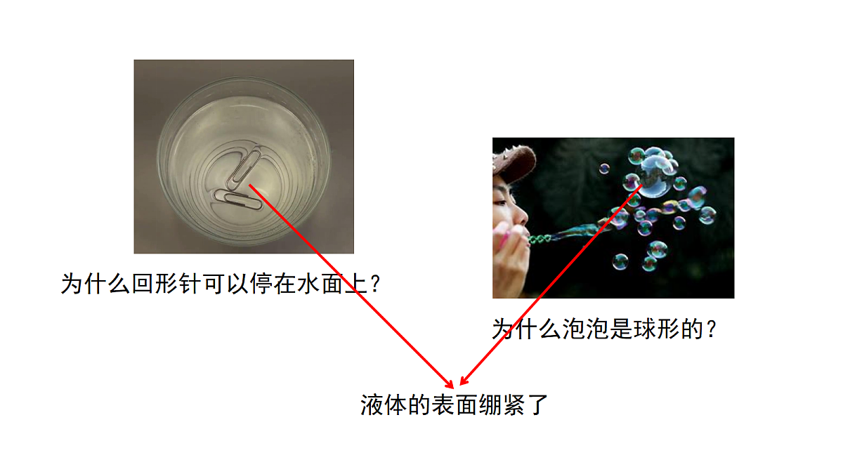 18243165第2页