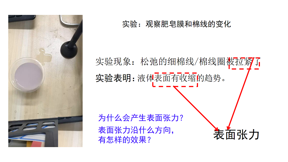 18243165第3页