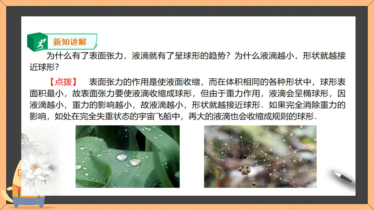 18243166第7页