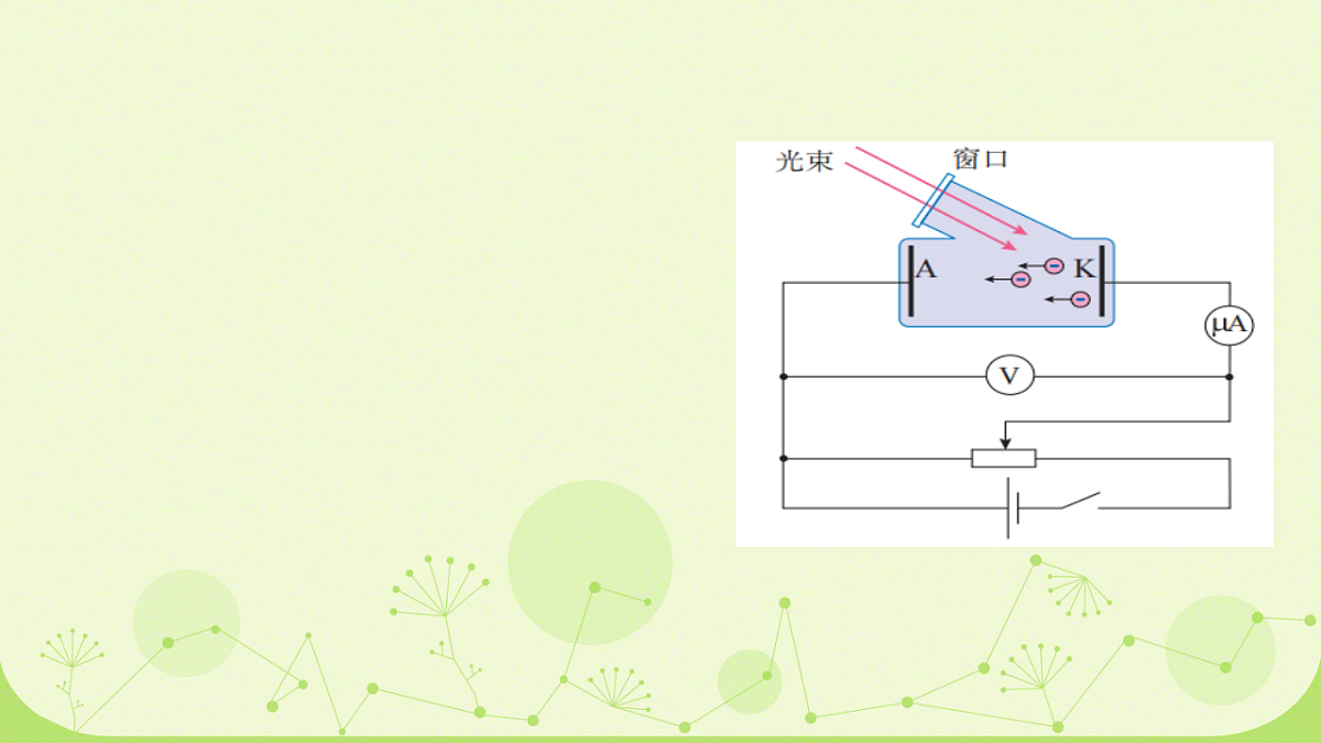 18243184第5页