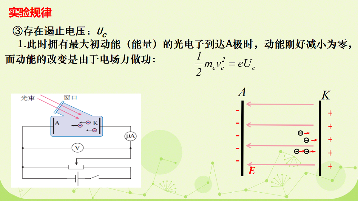 18243184第8页