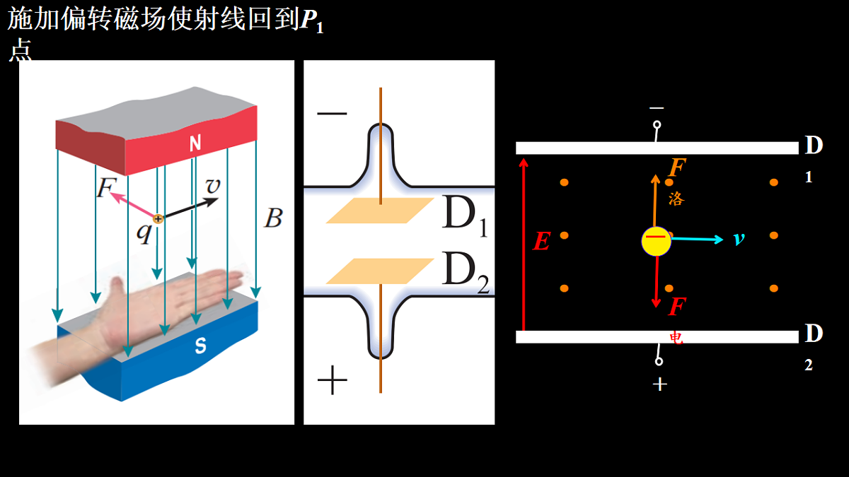 18243188第7页