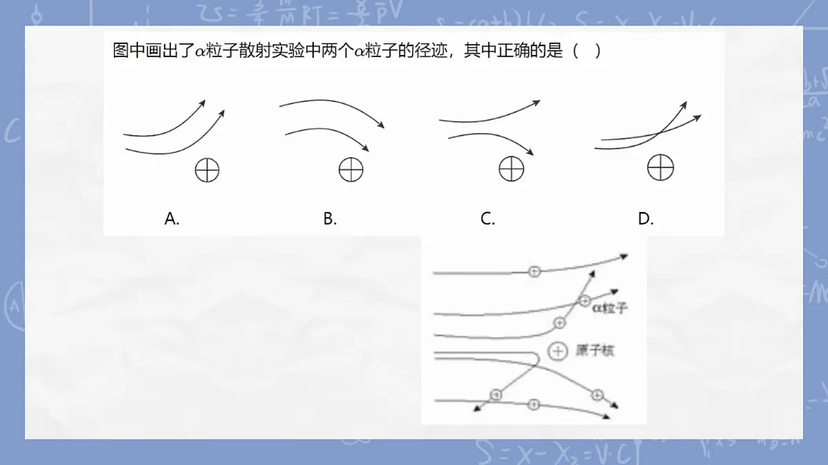 18243204第5页