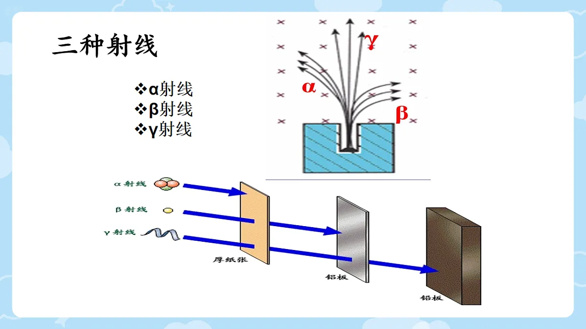18243206第8页