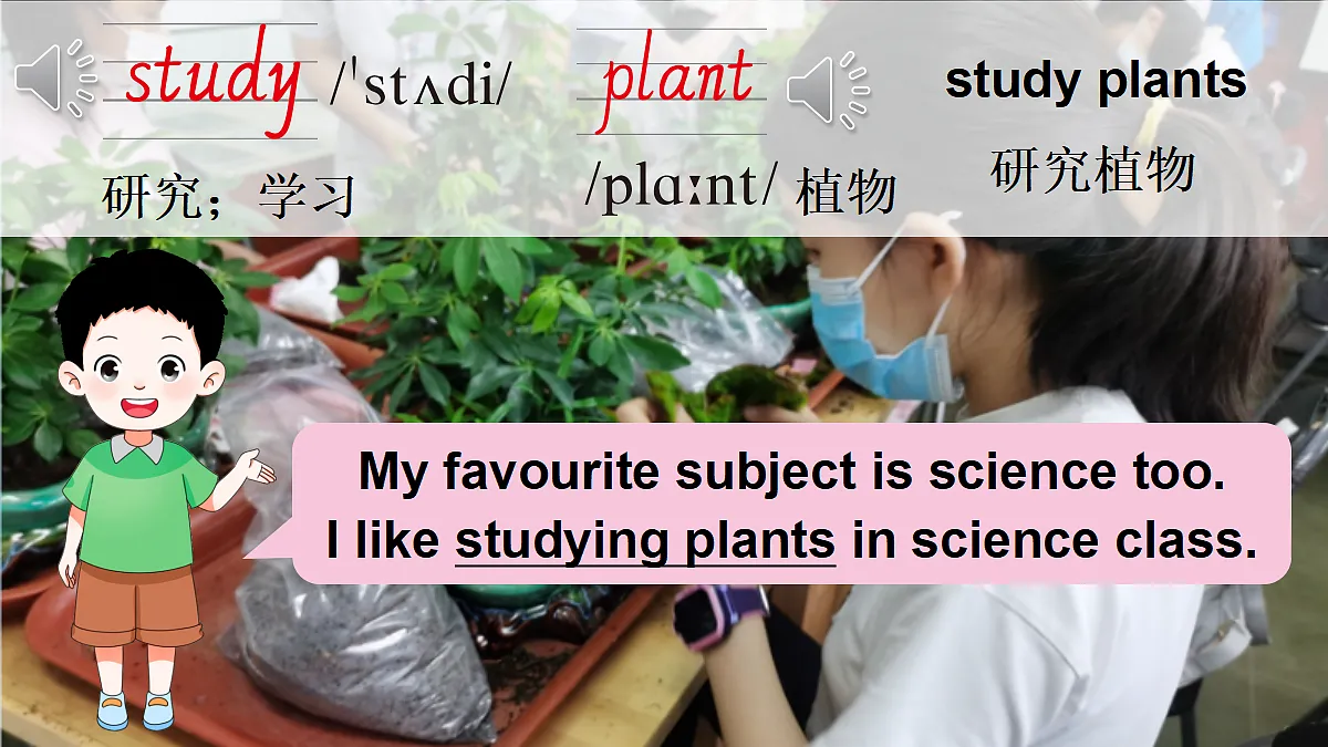 18243447第6页