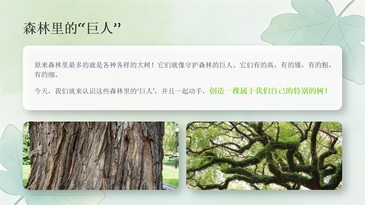 18243468第3页