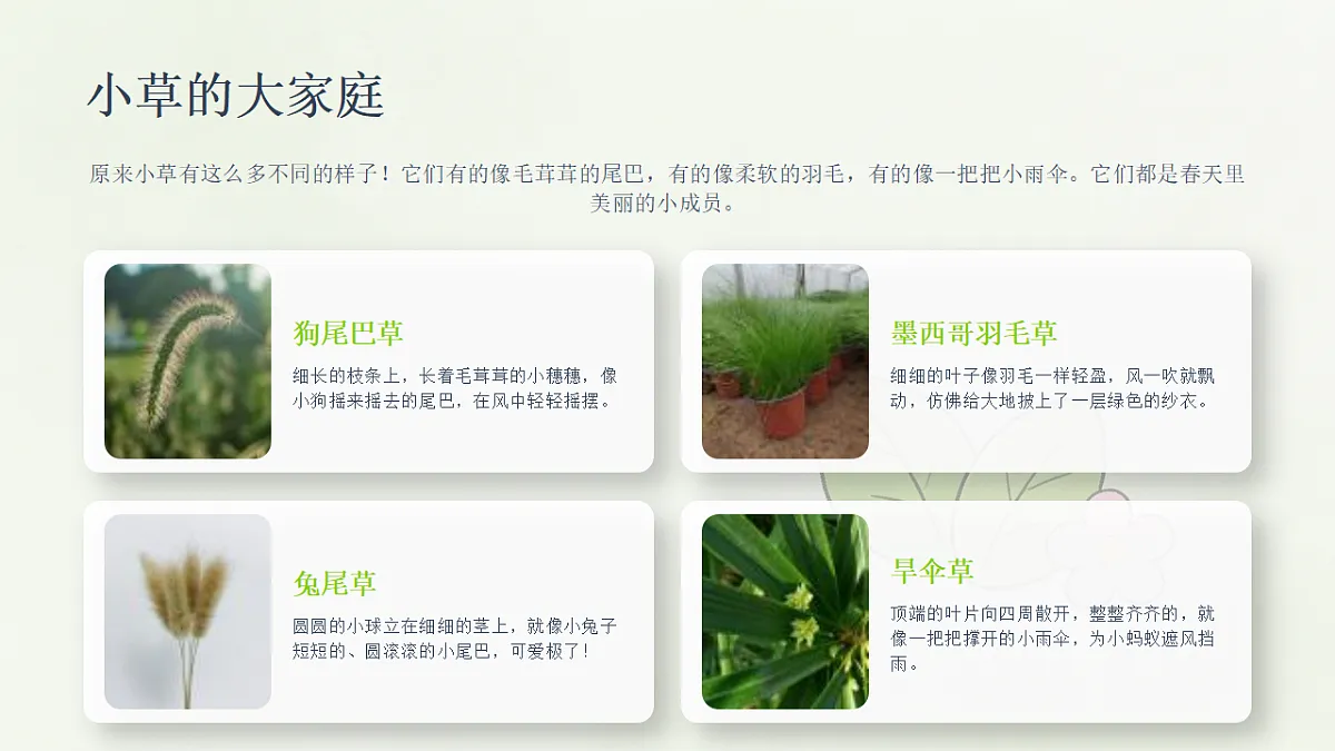 18243476第5页
