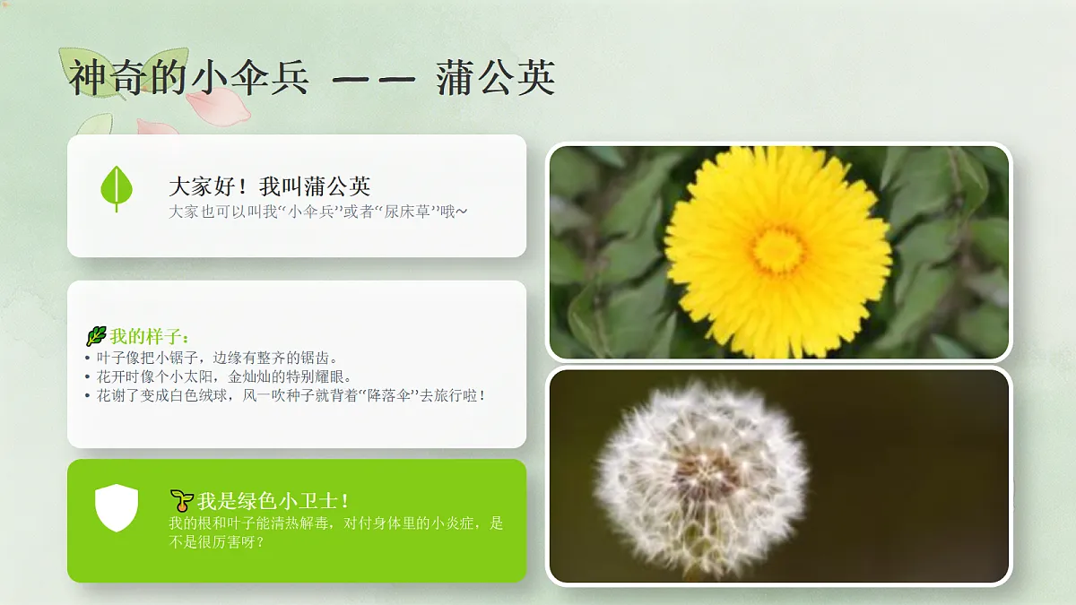 18243477第4页