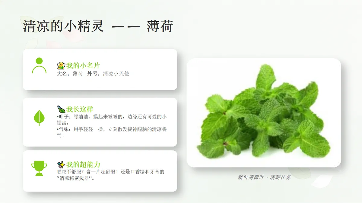 18243477第5页