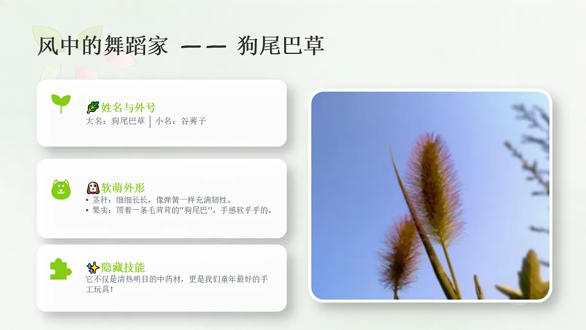 18243477第6页