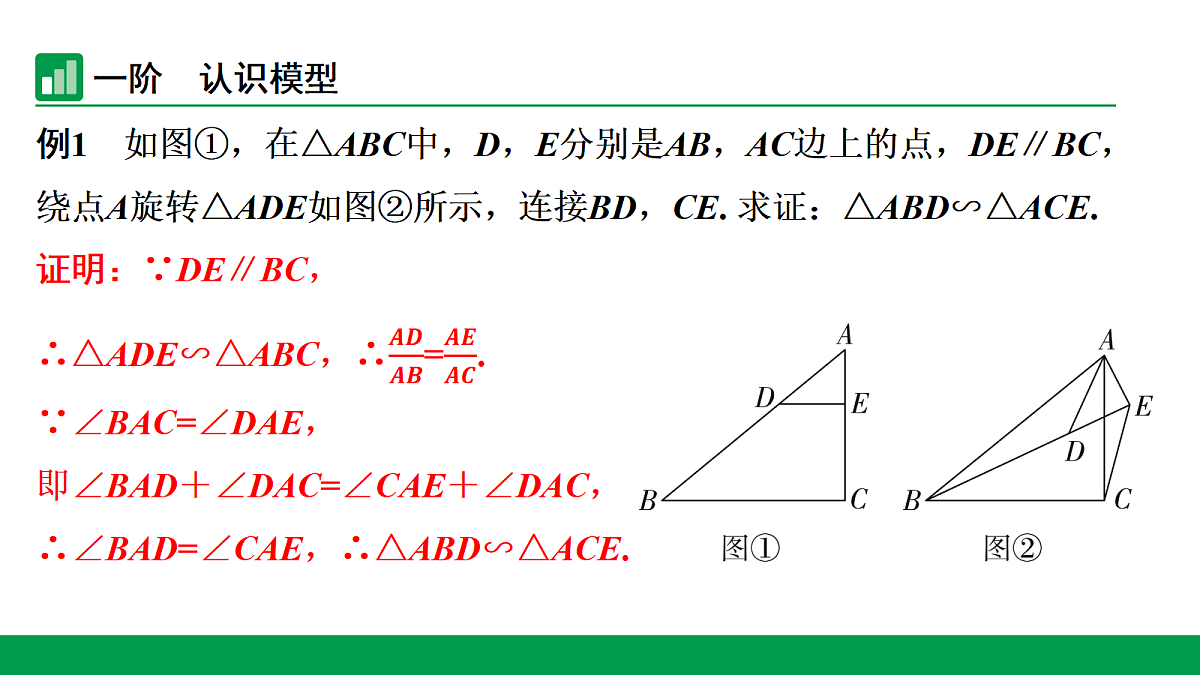 18243809第3页