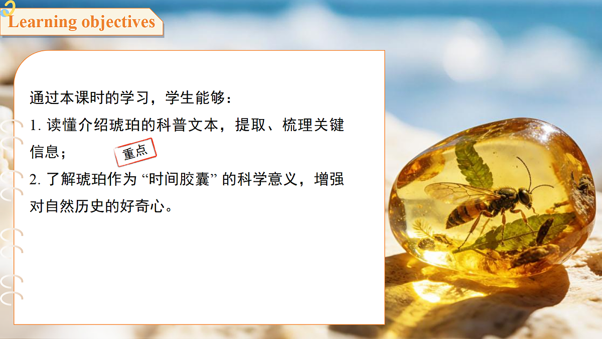 18244843第2页