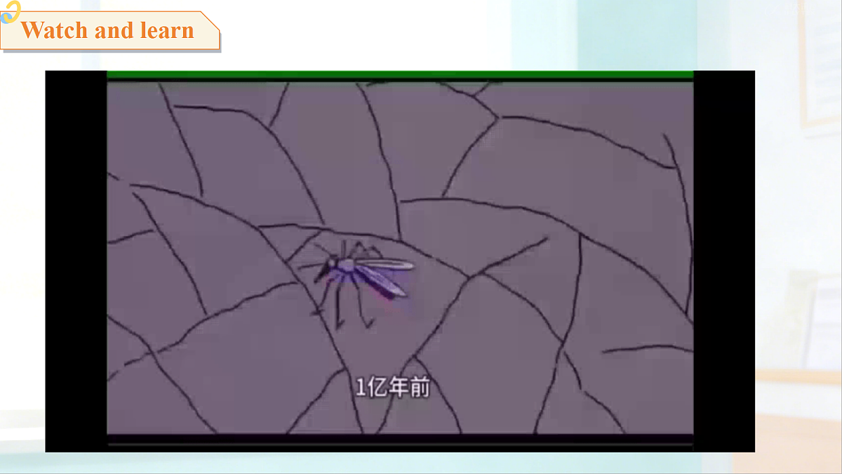 18244843第4页