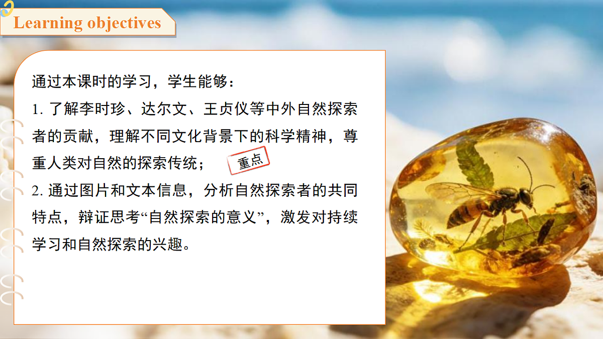 18244844第2页