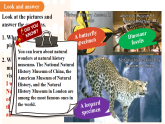 Unit 5 Amazing nature（Developing ideas 1）课件  初中英语外研版七年级下册（2024） 课件