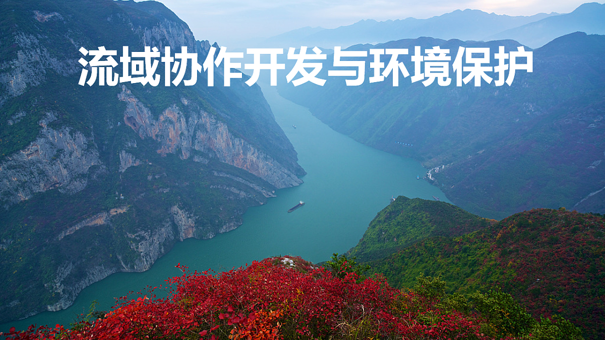 18245472第1页