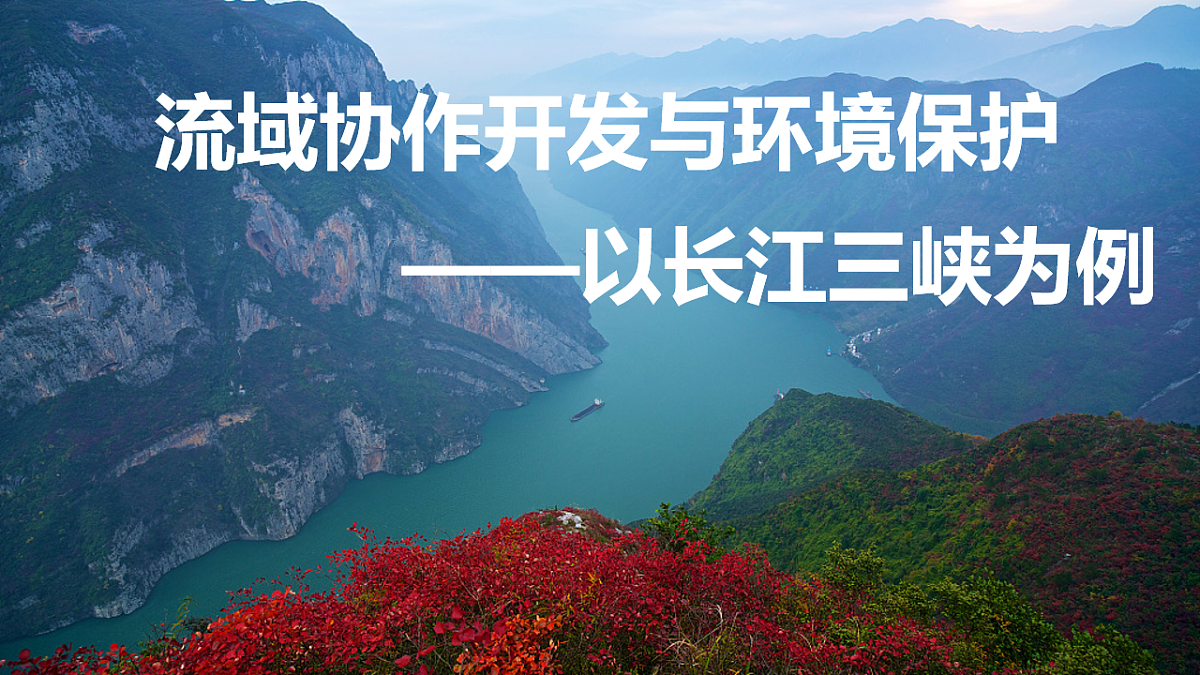 18245472第5页
