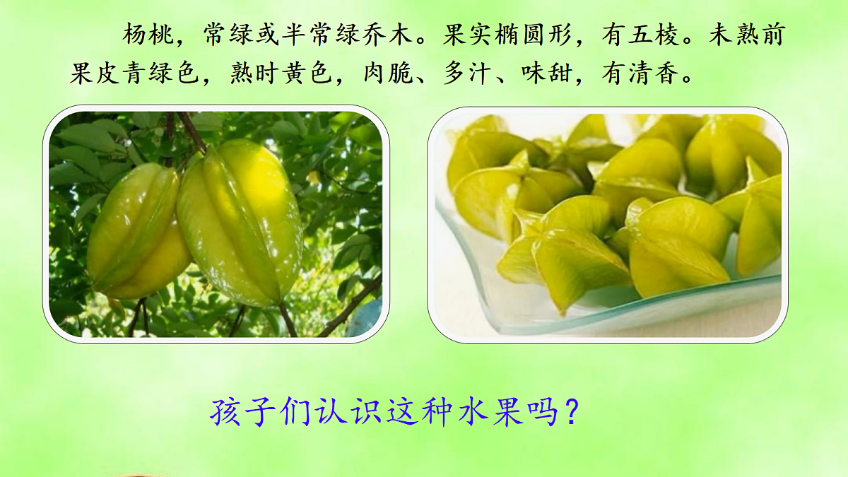 18245536第2页