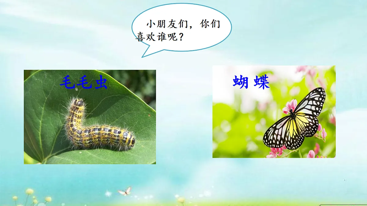 18245540第3页