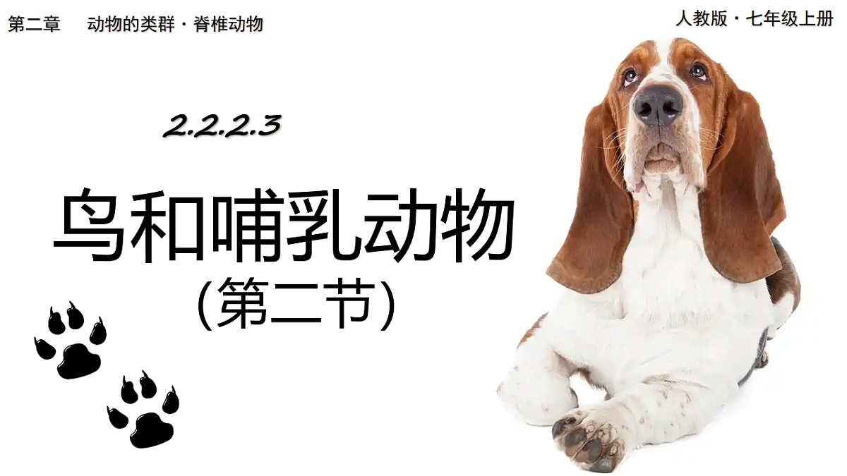 18246341第1页