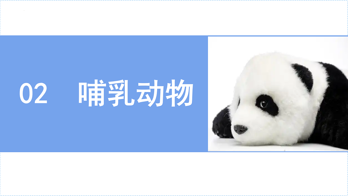 18246341第2页
