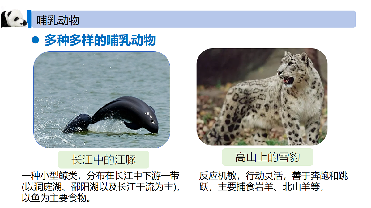 18246341第4页