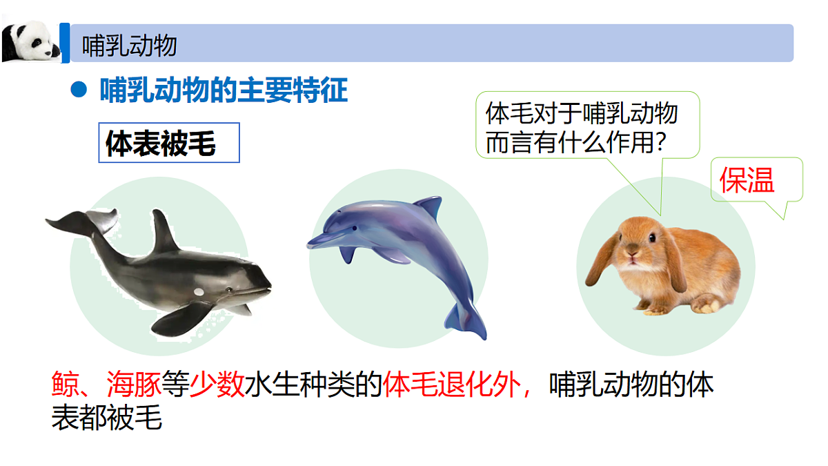 18246341第7页
