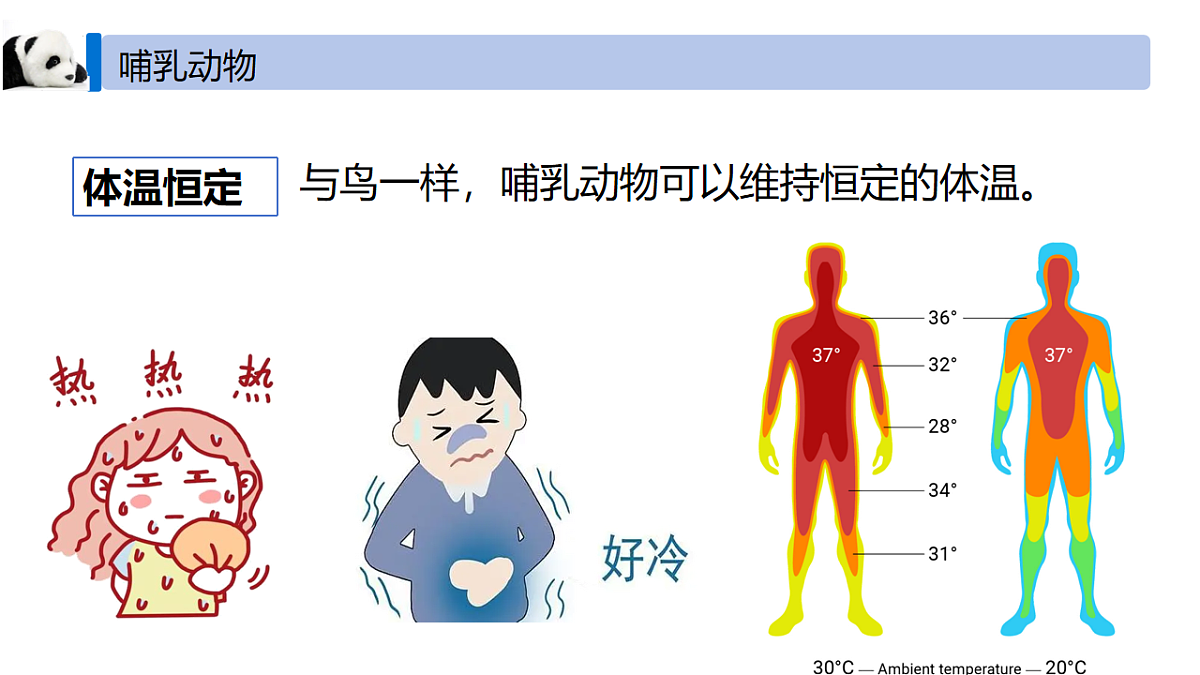 18246341第8页