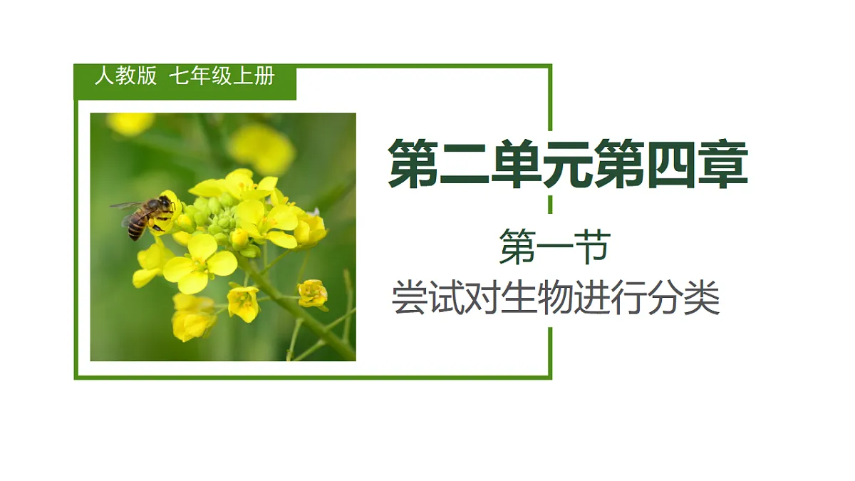 18246345第1页