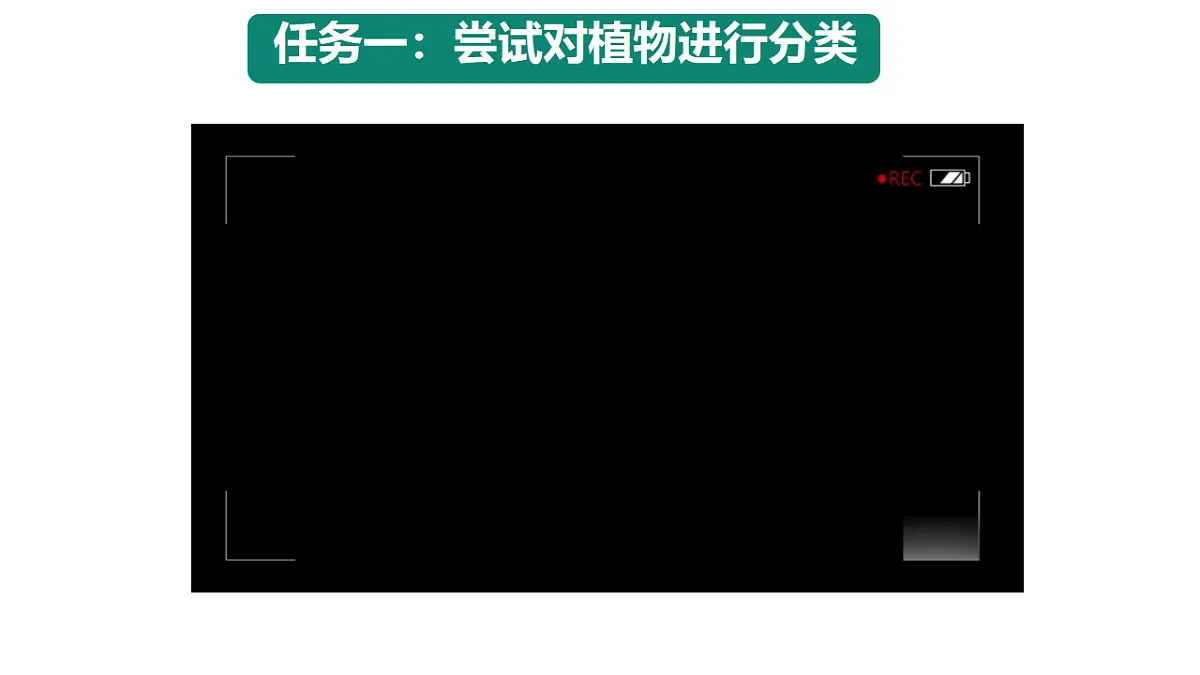 18246345第5页