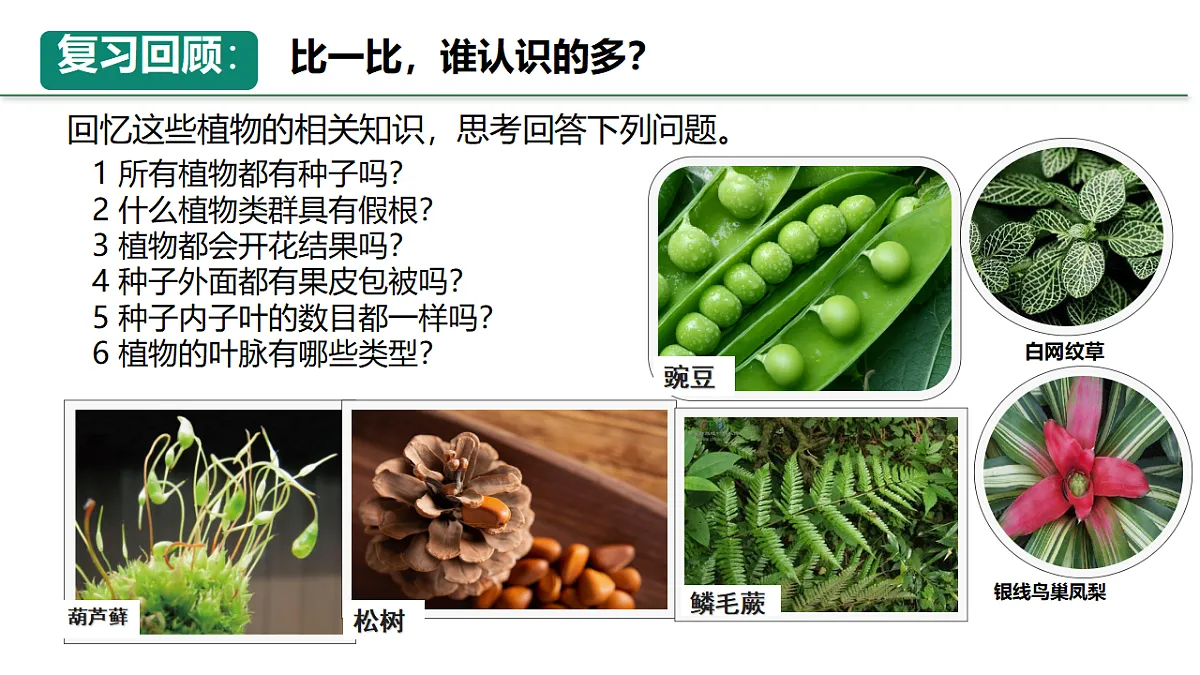 18246345第7页