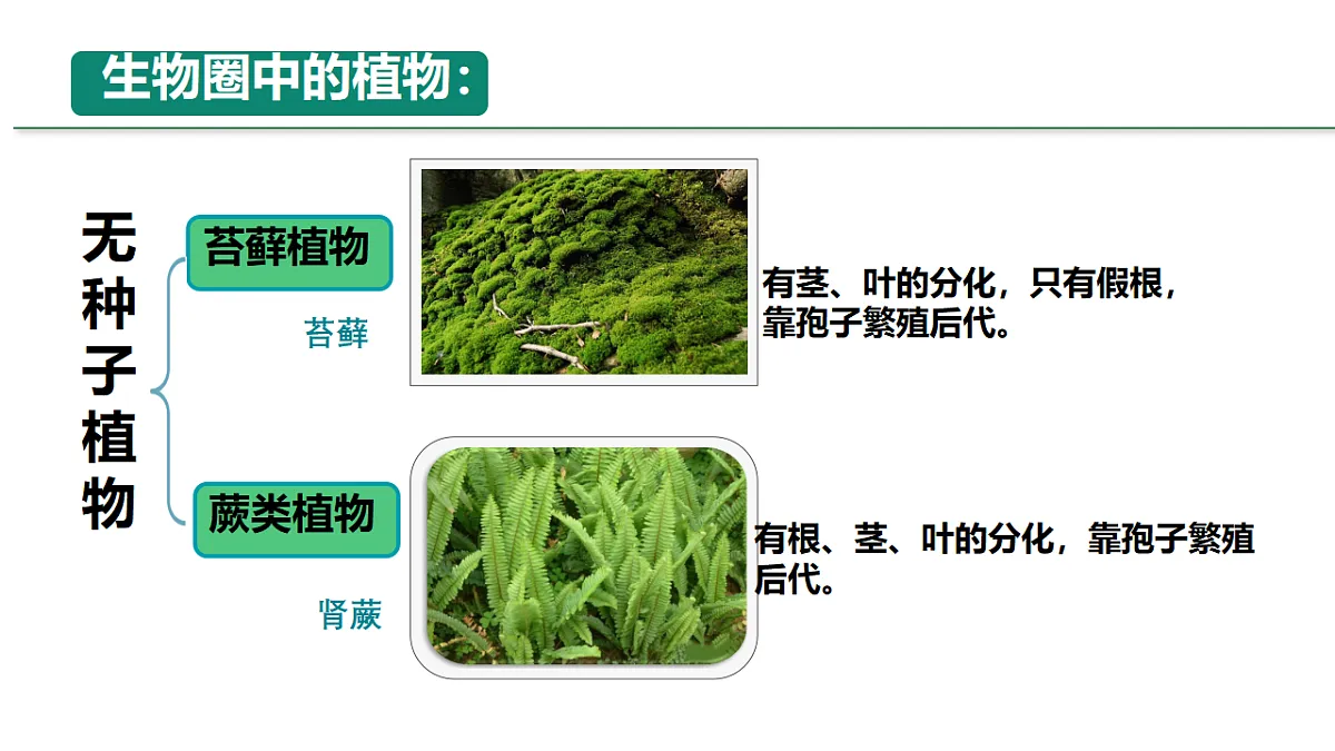 18246345第8页