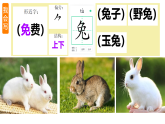 部编版二年级语文下册 第七单元 阅读 18《大象的耳朵》PPT课件