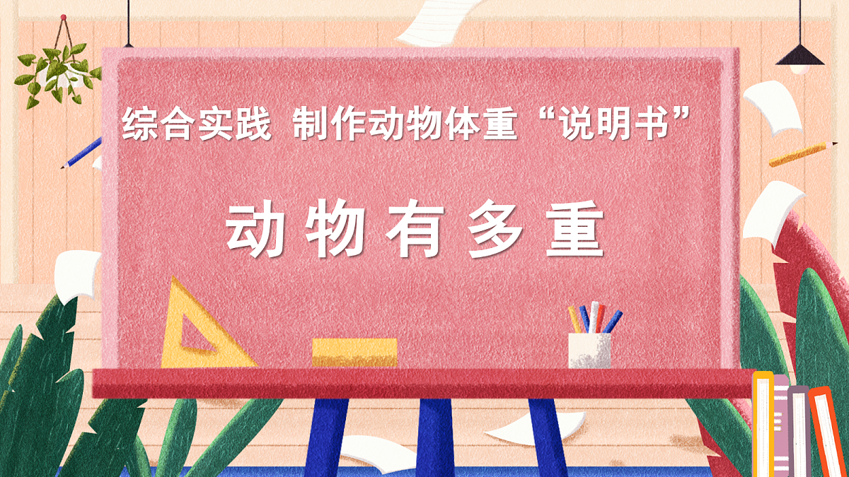 18246591第1页