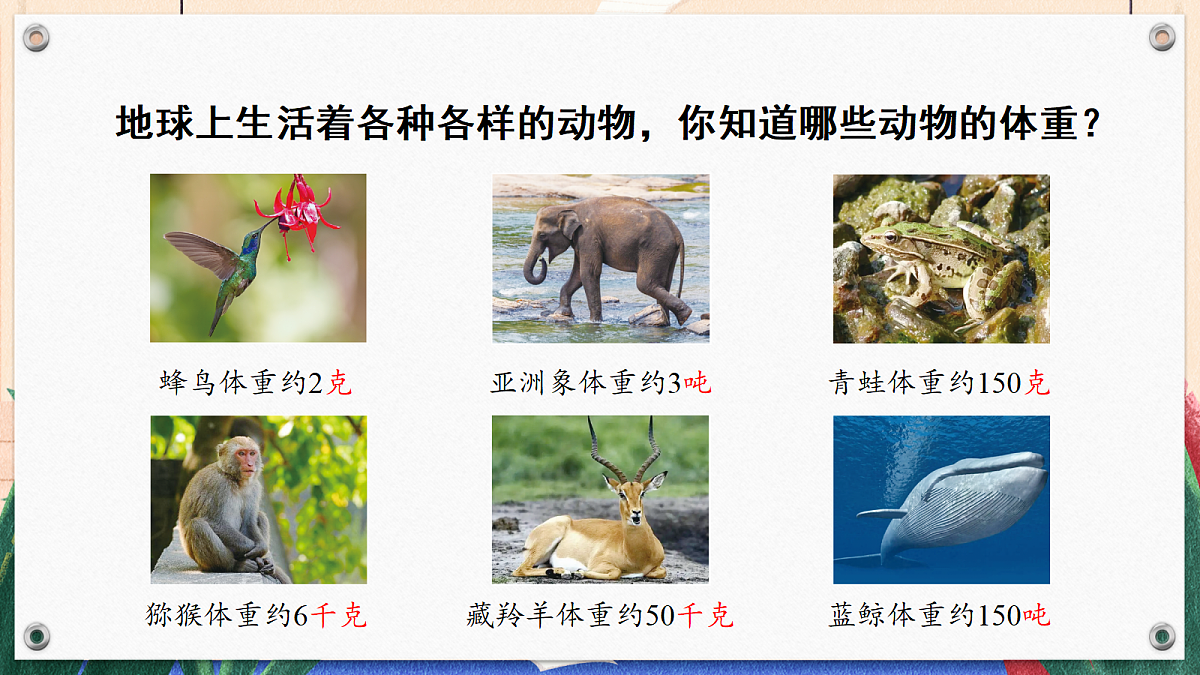 18246591第4页