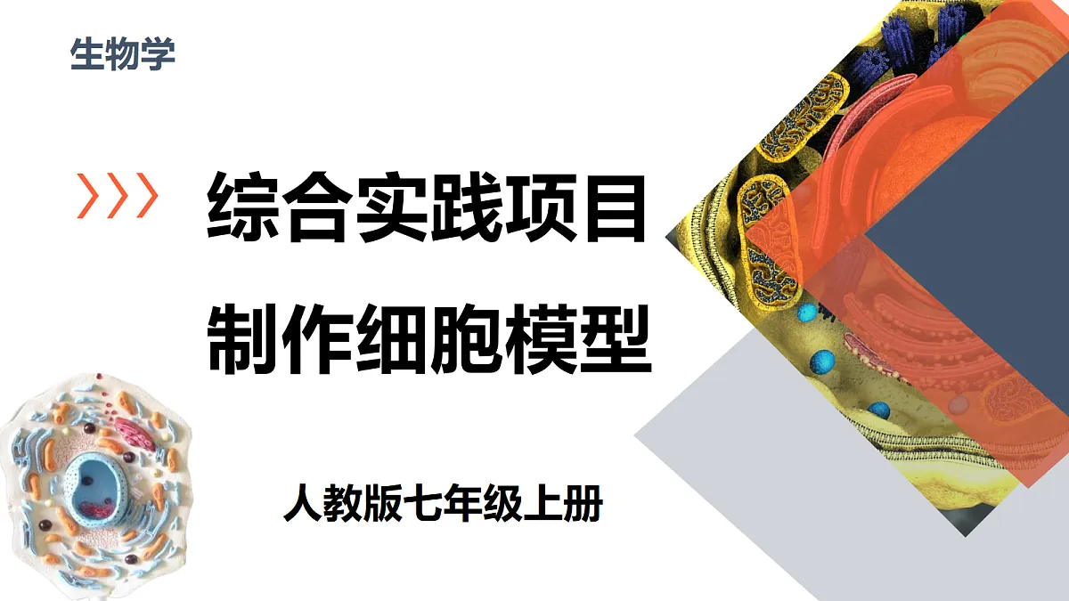 18246615第1页